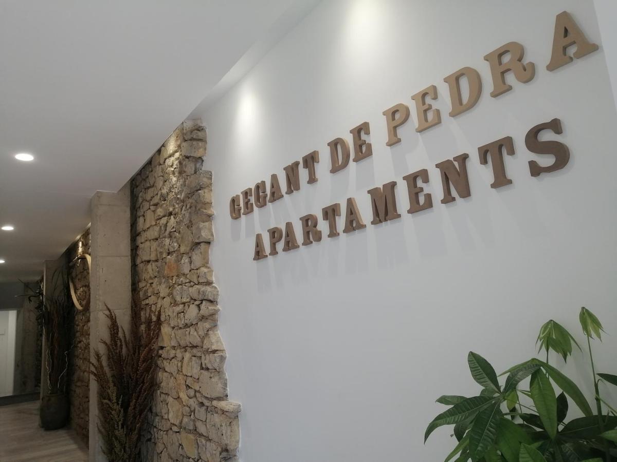 Gegant De Pedra Apartaments Adzaneta Εξωτερικό φωτογραφία