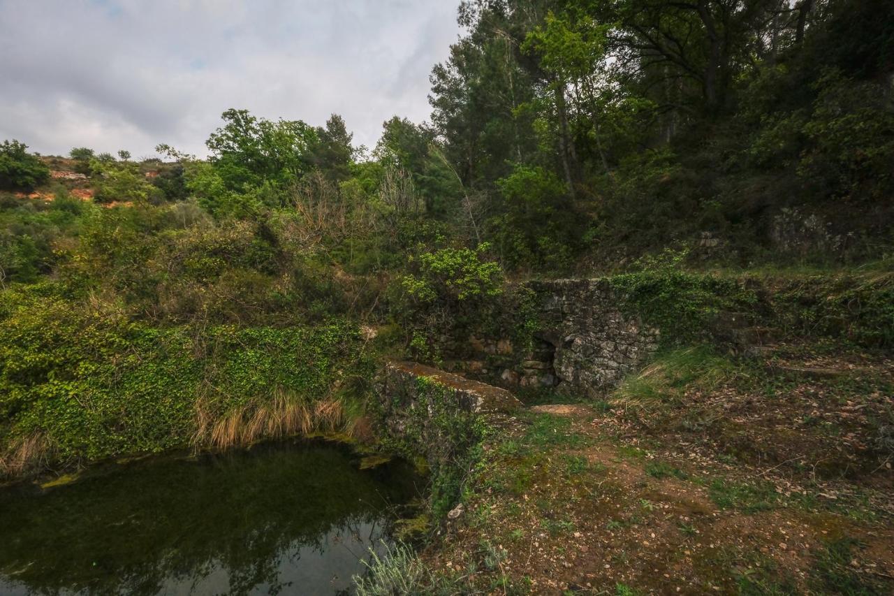 Gegant De Pedra Apartaments Adzaneta Εξωτερικό φωτογραφία